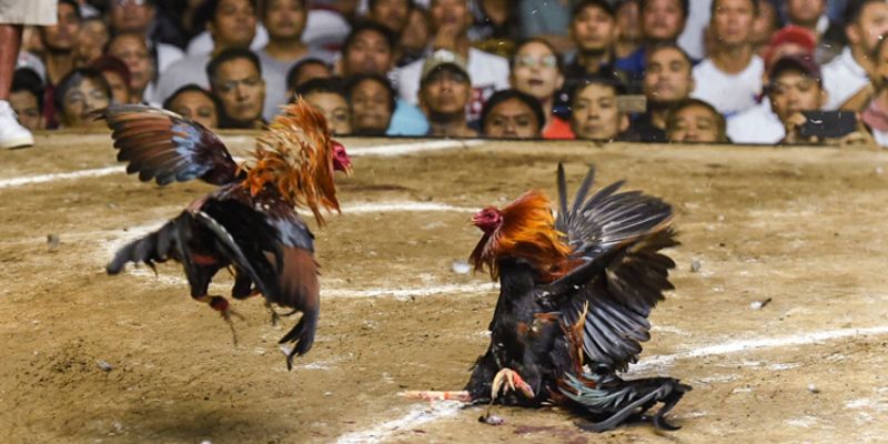 Tăng thời gian chăm sóc để có kết quả tốt nhất