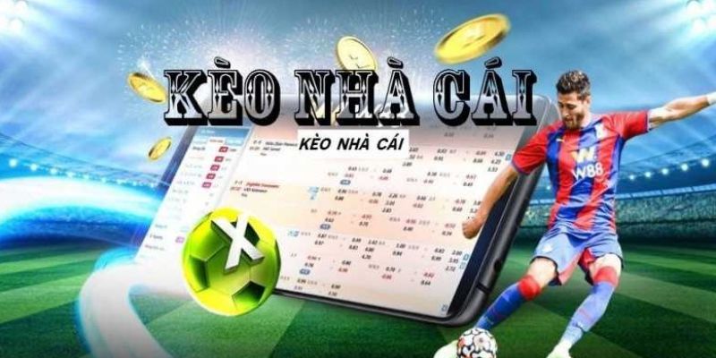 Các bạn theo dõi trận đấu trực tiếp tại Hello88 và lựa chọn kèo cược